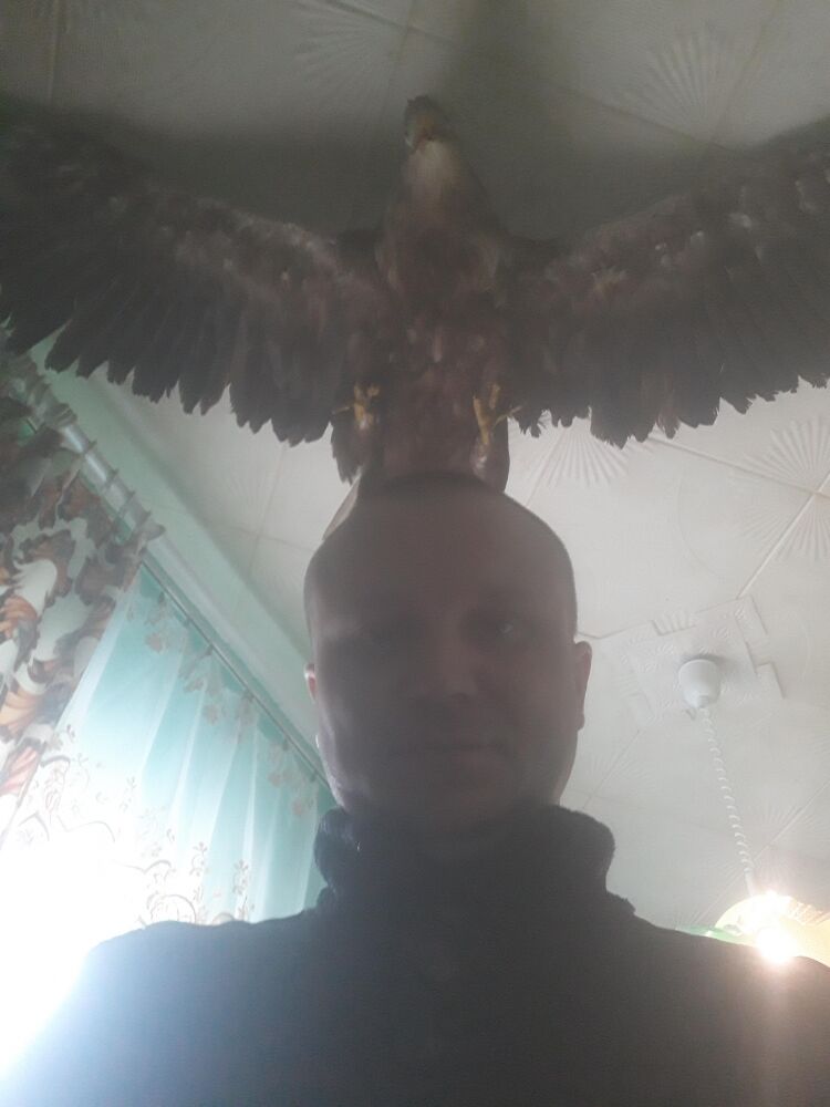 Александр Скрыпник